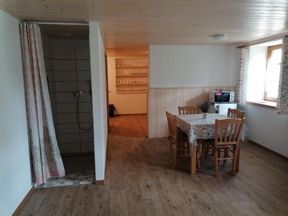 Apartman Na Statku Jílovice エクステリア 写真