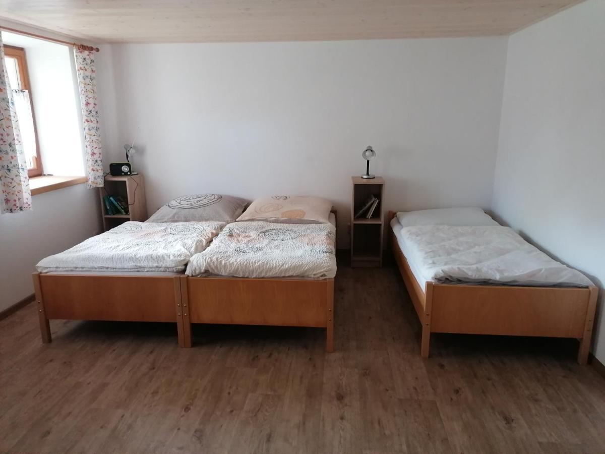 Apartman Na Statku Jílovice エクステリア 写真